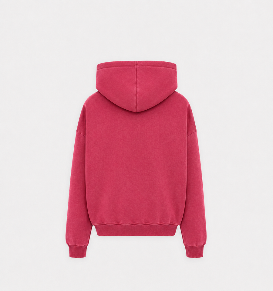 Passports - Hoodie